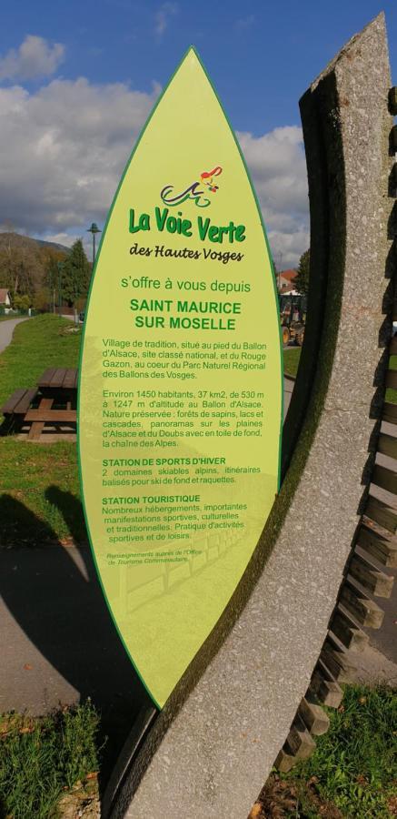 Au Bonheur Fait Maison Acomodação com café da manhã Saint-Maurice-sur-Moselle Exterior foto
